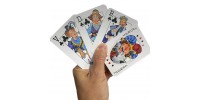 2 Jeux de cartes avec les boîtiers de collection-Livraison incluse*
